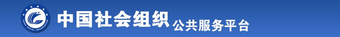 插啊啊啊在线全国社会组织信息查询